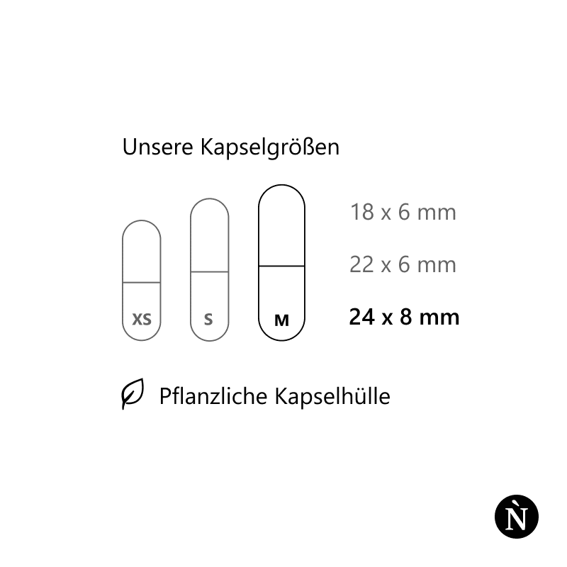 Magnesium Kapseln